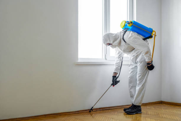 Best Affordable Pest Control Services  in Valrico, FL